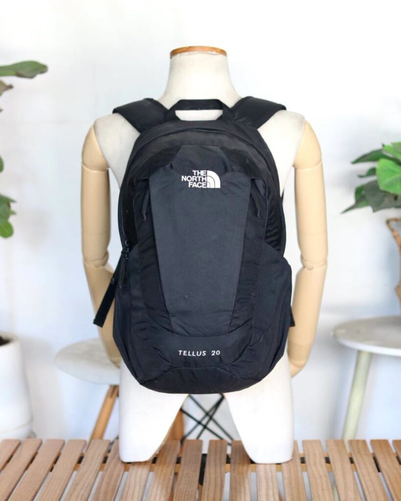 THE NORTH FACE