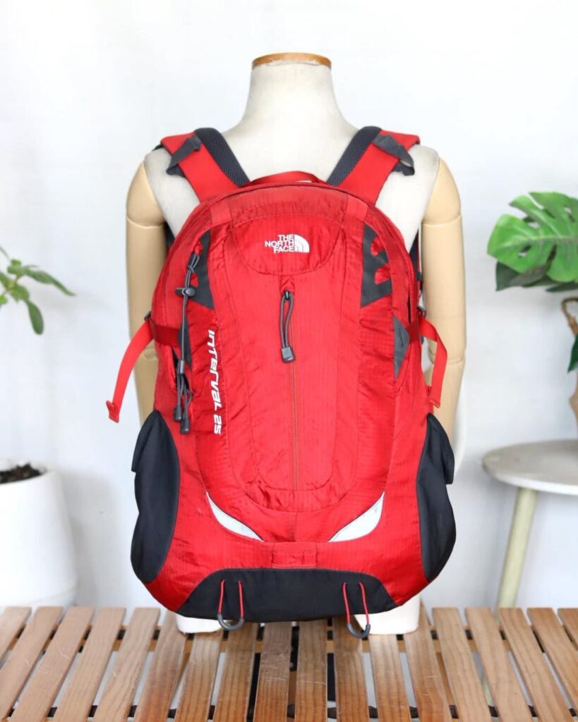 THE NORTH FACE