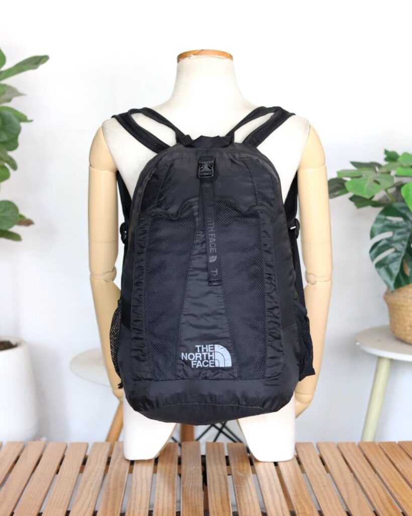 THE NORTH FACE