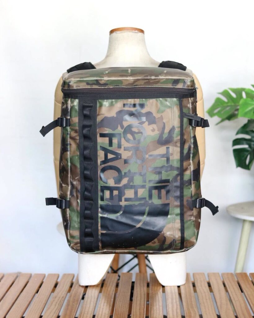THE NORTH FACE